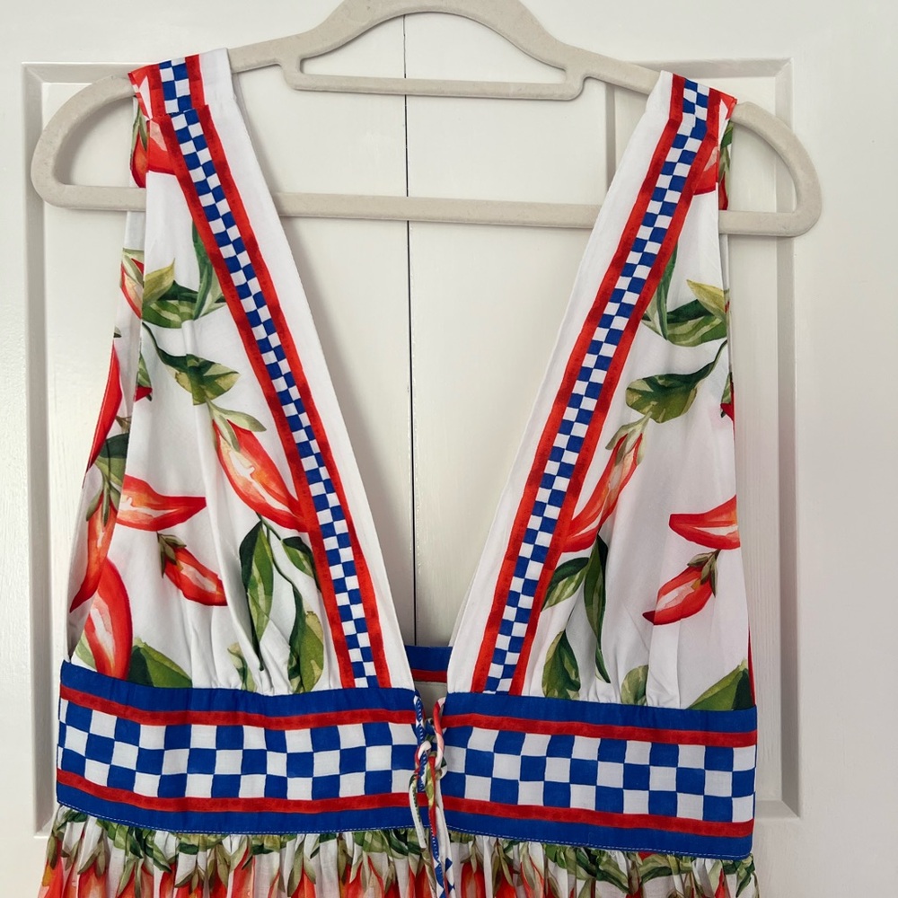 FARM Rio Picnic Peppers Ainika Midi Dress - Picture 9 of 12